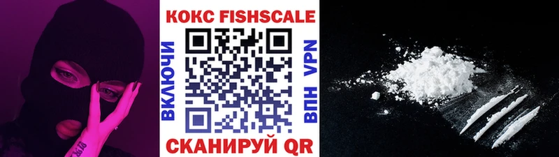 Купить  Аргун  Кокаин Fish Scale 