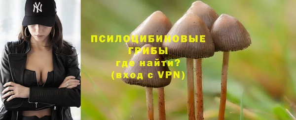 соль курить ск Кукмор