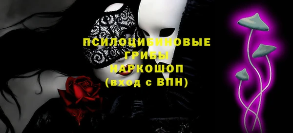 тгк Кулебаки