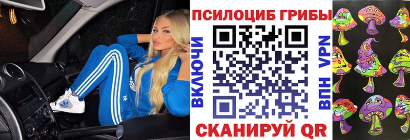 Галлюциногенные грибы Psilocybine cubensis  Купить где  Аргун 