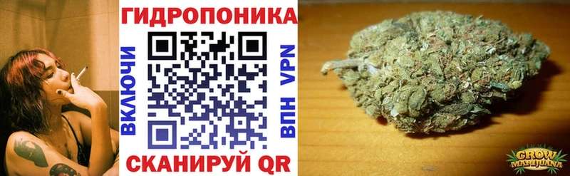 Купить где  Аргун  Конопля AK-47 